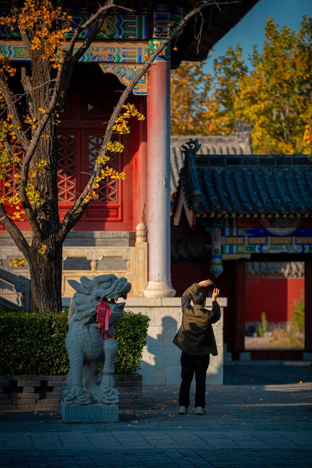 立冬之約 邀你共赴一場冬日的詩意之旅！。