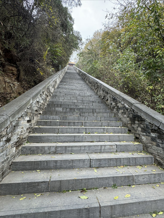 跟着悟空遊山西D2：高平開化寺。