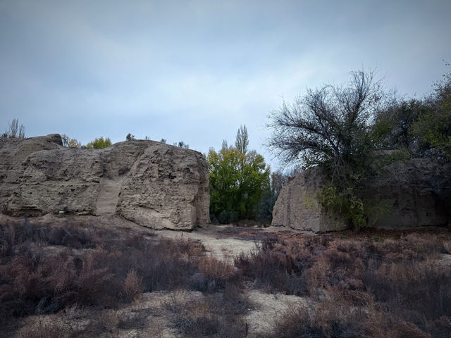 北庭西大寺遺址｜北庭高昌回鶻佛寺遺址。