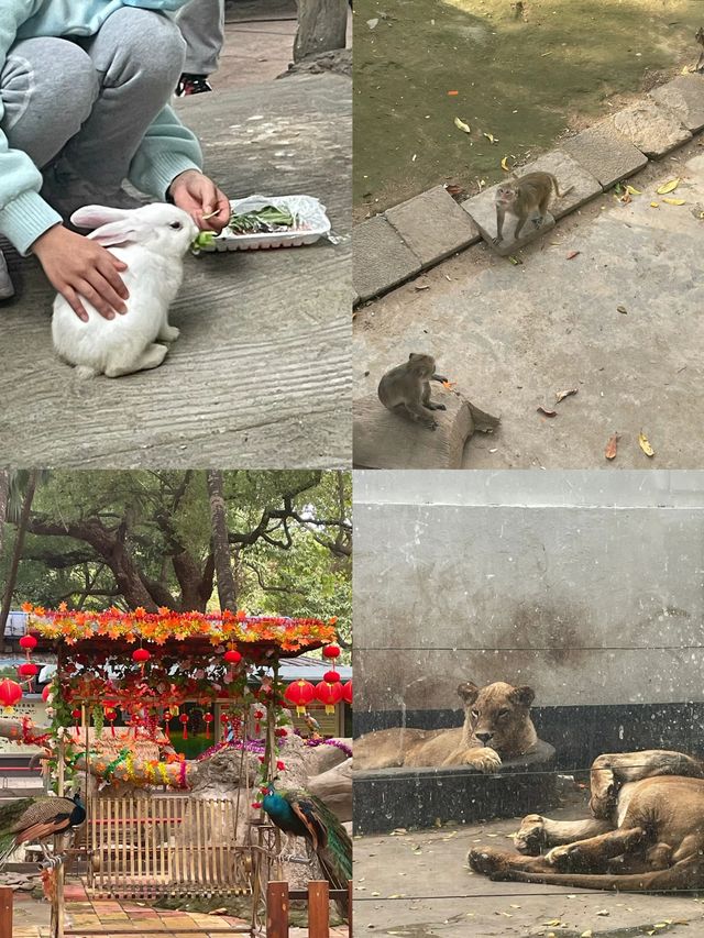 《佛山中山公園，休閒與文化的樂園》。
