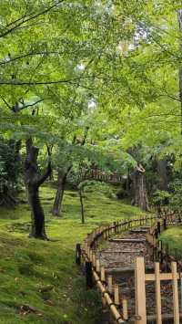 金澤兼六園雨中行…。