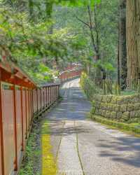 Exploring Chinese Cultural Heritage in Japan: Nikko Toshogu Shrine