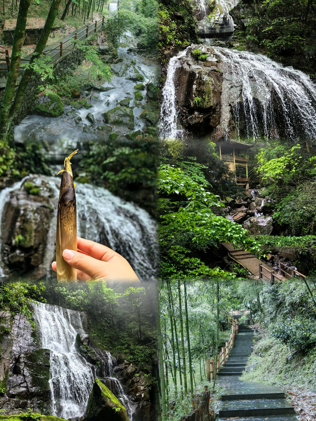 比安吉本地人更了解的遊玩攻略。