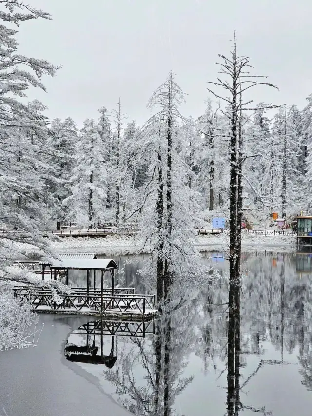 홍아 2일｜초인기 여행법 대공개.
