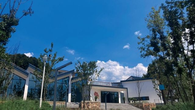 反向旅遊太爽了，一座遊客罕至的河南小城。
