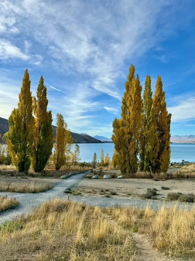 6-Day New Zealand Tour: A Must-Read Guide for a Trip So Beautiful You Won't Want to Leave