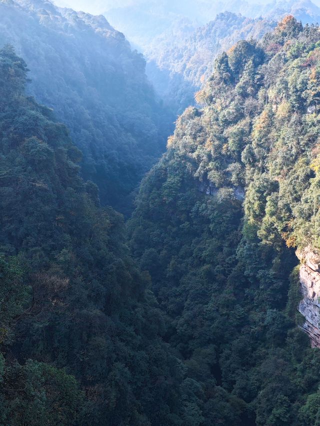 暢遊碧峰峽——親子徒步自然探秘之旅