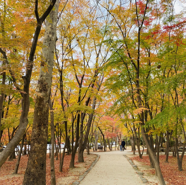 경주 여행 추천 코스 세계문화유산 불국사 