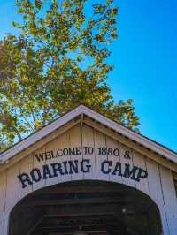 坐上蒸汽火車穿越紅杉樹林