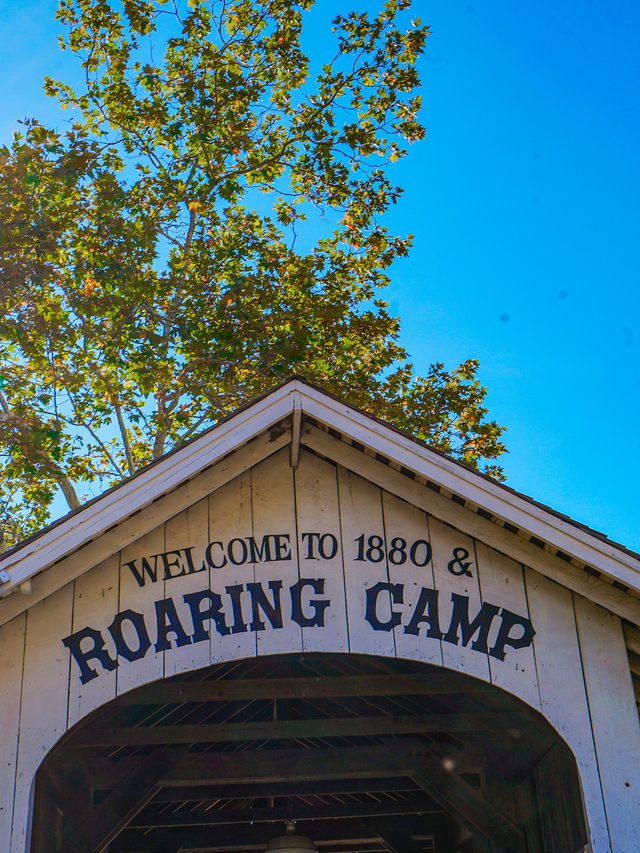 坐上蒸汽火車穿越紅杉樹林 坐上蒸汽火車穿越紅杉樹林