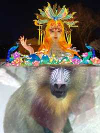 長春動植物公園夜遊，夢回西遊奇幻之旅！