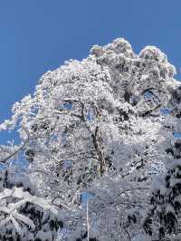 龍蒼溝雪景