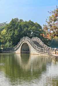 錯過再等一年佛山這個地鐵直達的公園秋景好美