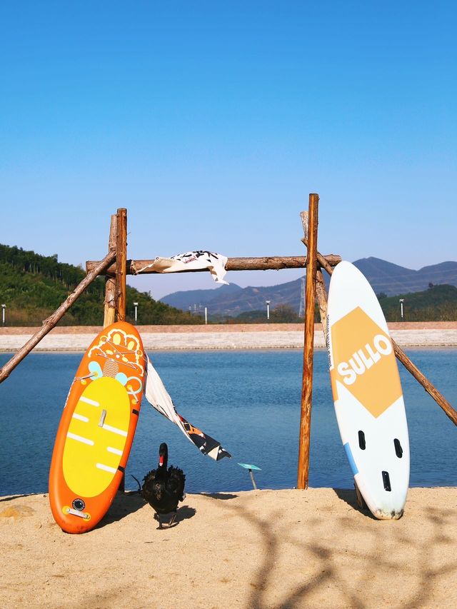 杭州1小時車程，這裡的山水竹林和萌寵牧場真是太棒了！