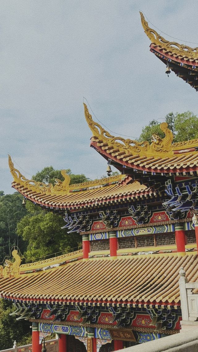 《大嶺山觀音寺：一次令人失望的出行體驗》