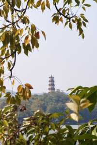 就在西湖，廣東人的秋色雖遲但到！
