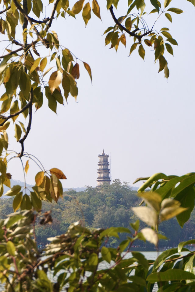 就在西湖，廣東人的秋色雖遲但到！