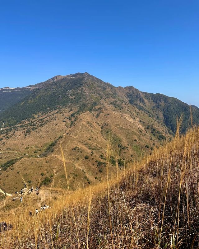 邂逅大南山，領略自然之美
