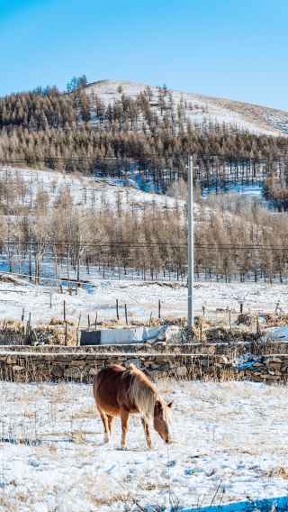 Hohhot Hongshiya Snow Scenery Photography - A Hidden Gem with Few People and Beautiful Scenery