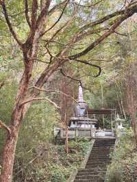 甘露寺一座藏有地下迷宮的寺廟