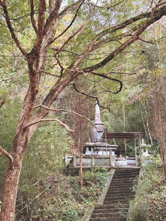 甘露寺一座藏有地下迷宮的寺廟