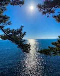 "浪花與歷史交融：高知桂濱海灘的無限魅力" 
