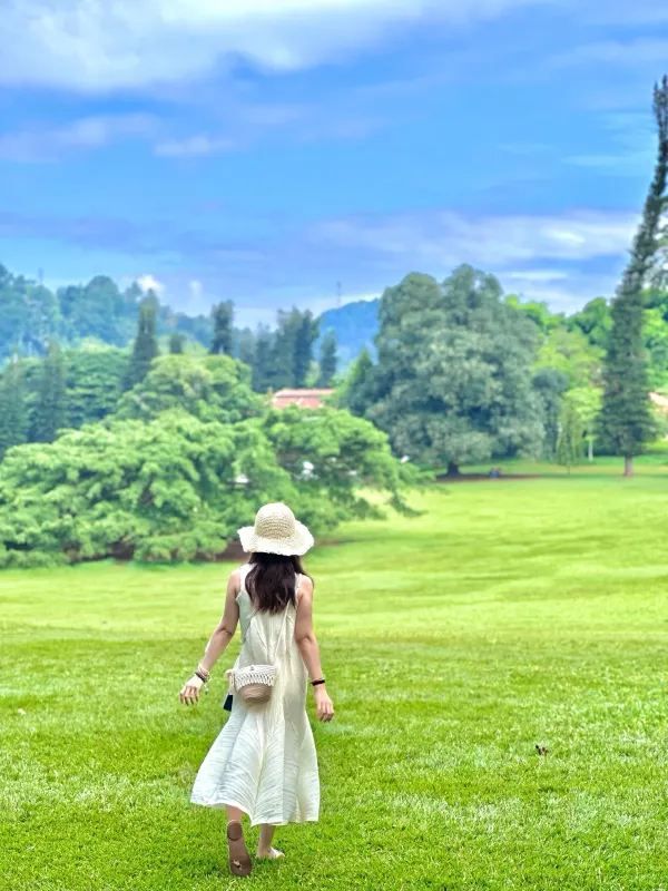 Explore the Royal Botanical Gardens in Kandy, Sri Lanka