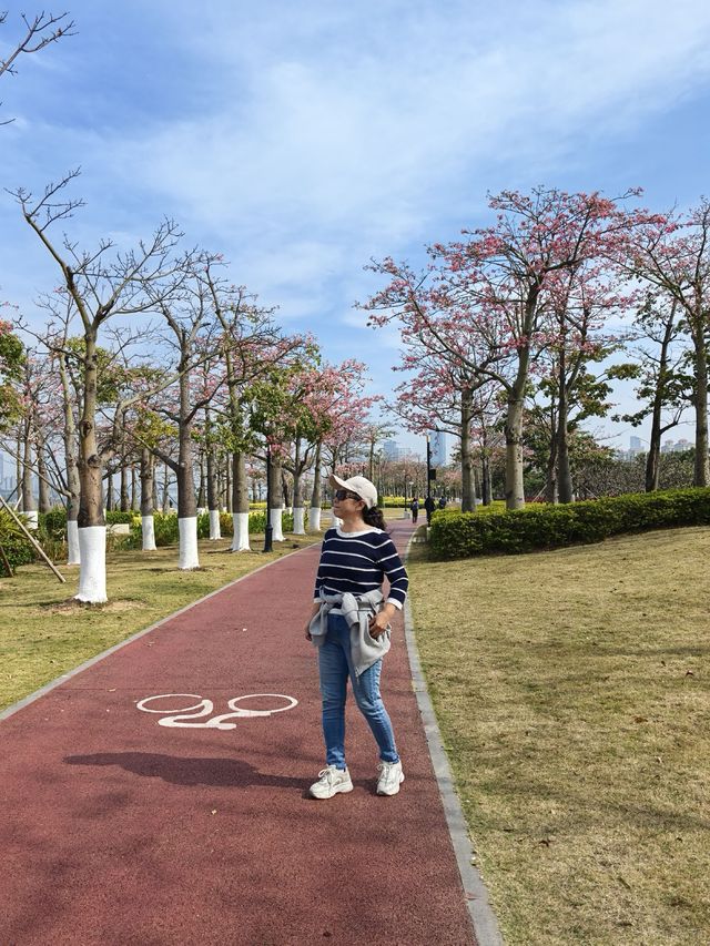 珠海花海長廊遛娃之旅