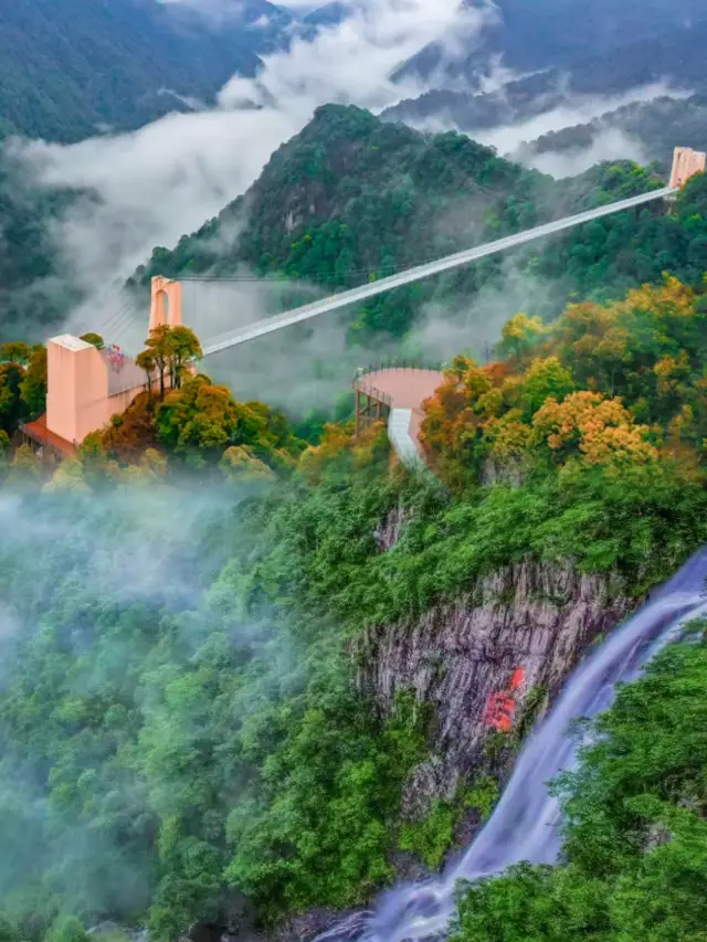 春節去邊度玩？嚟贛州三百山過個好運年