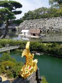 德島兩日遊，文化與自然完美碰撞