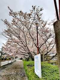 月浦近隣公園