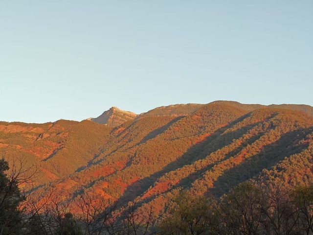 邂逅谷語，開啟雞足山愜意之旅
