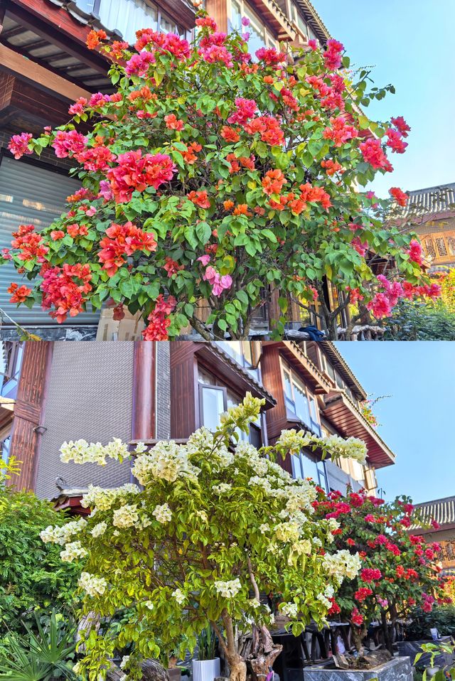普洱茶馬古城旅遊小鎮