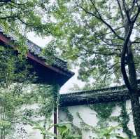 衢州|一定不能錯過的拍照機位