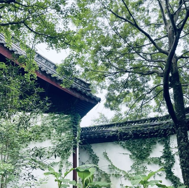 衢州|一定不能錯過的拍照機位
