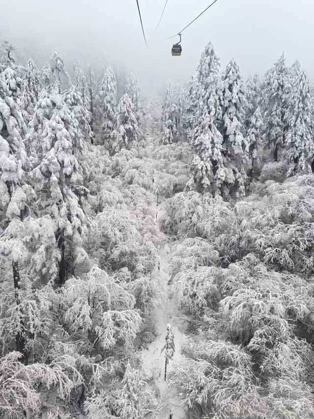 探秘海螺溝，邂逅冰川與森林的奇幻之約