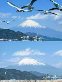 日本三島市：隱匿在山海間嘅小眾寶藏