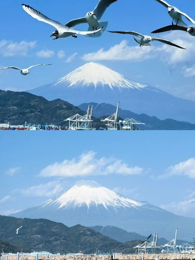 日本三島市：隱匿在山海間嘅小眾寶藏