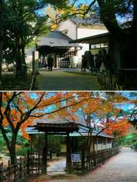 寶藏高松適合中轉站的城市｜純玩一日遊攻略