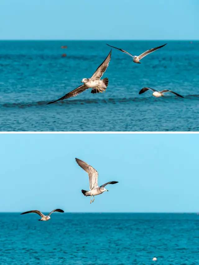 태산, 곡부, 청도의 온천여행으로 따뜻한 시간을 만끽하세요