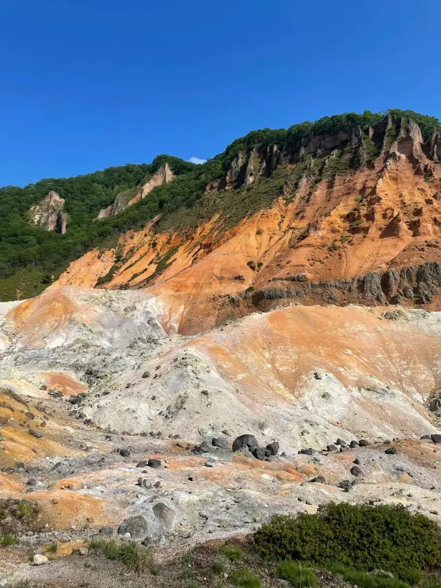 겨울방학 일본 6일 여행, 초 상세 공략 대방출