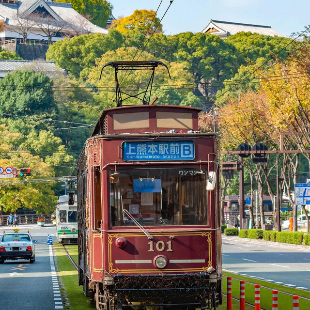 天！我挖到《螢火之森》取景地了✨
