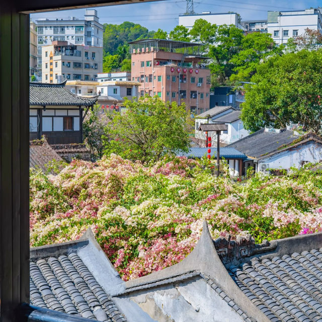 深圳甘坑古鎮:藏在都市裡的春日桃源 深圳甘坑古鎮:藏在都市裡的春日桃源