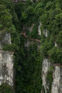 我在畢節找到一個原始森林高原峽谷秘境｜大方油杉河景區