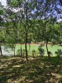 碼住增城嘅適合行山嘅森林公園