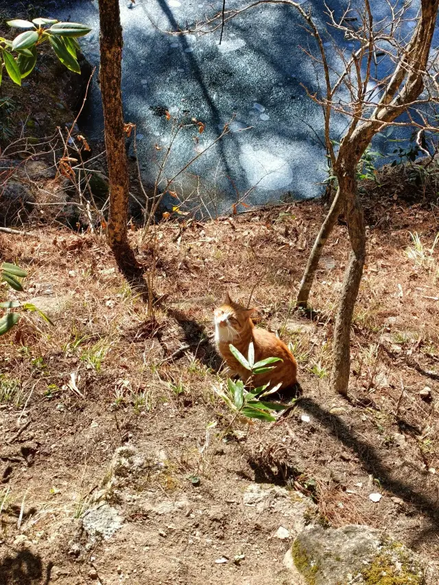 6-Day Enshi Tour During Qingming Festival: A Super Detailed Guide