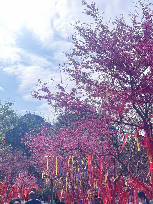 東華禪寺深度游攻略