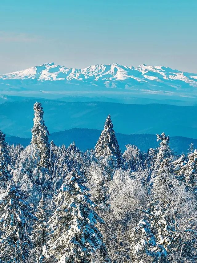 백두산 짧은 연휴, 아이와 함께하는 여행 완벽 가이드, 가족 여행 추천