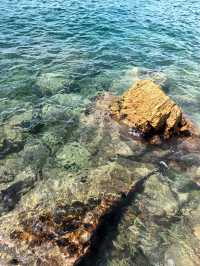 不愧是深圳海景天花板