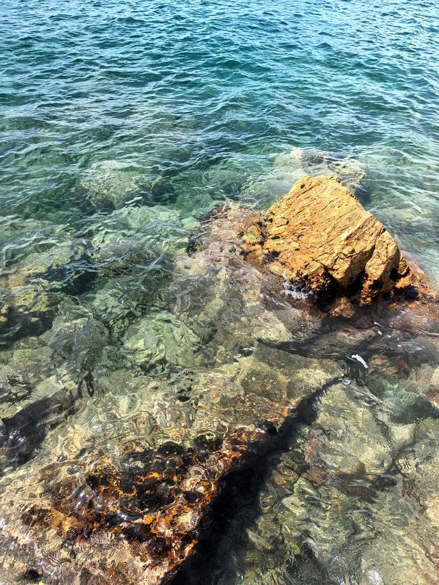 不愧是深圳海景天花板